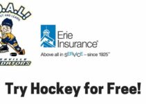 Try Hockey for Free at Ford Ice Center