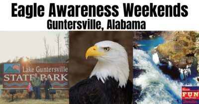 Eagle Awareness Weekend – Family Fun in Guntersville, Alabama