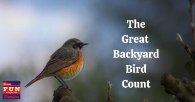 2021 Great Backyard Bird Count